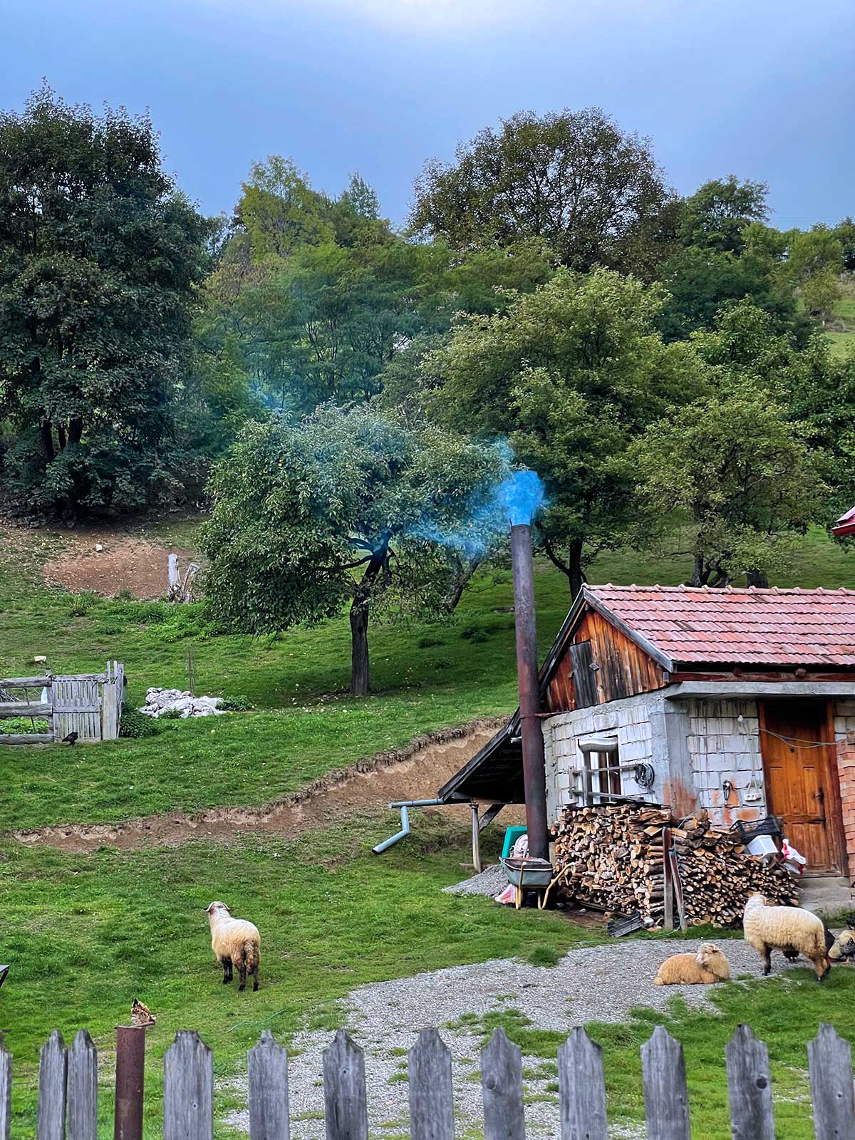 romanian countryside