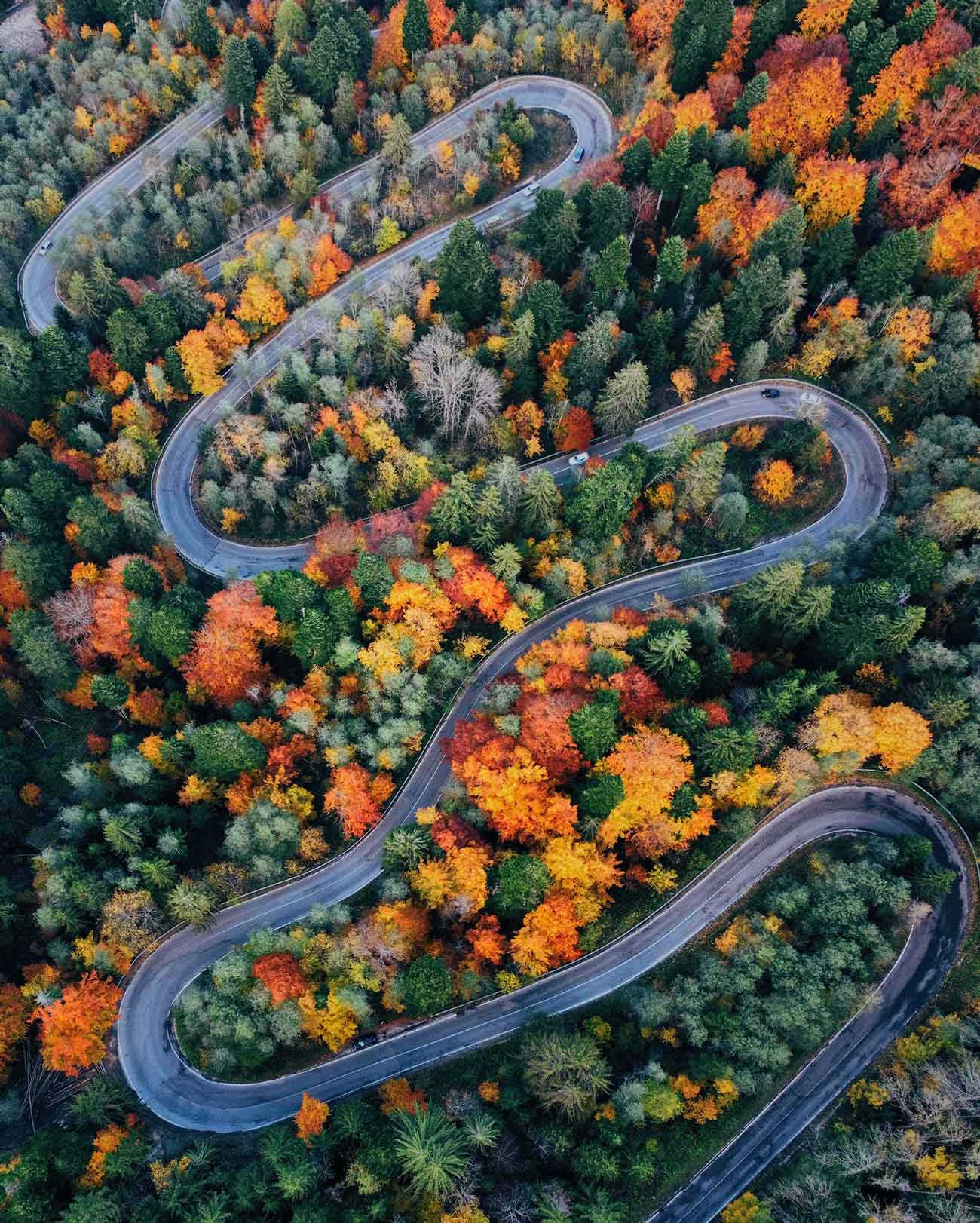 beautiful fall in romania transfagarasan