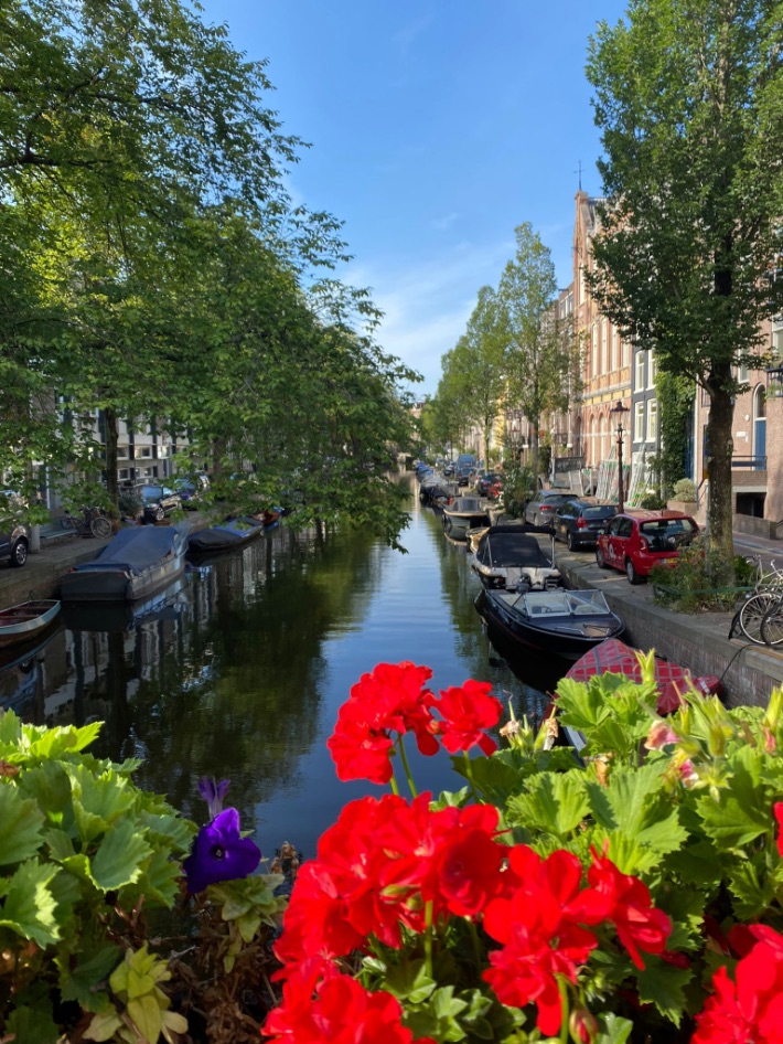 jordaan daytime romantic canal view