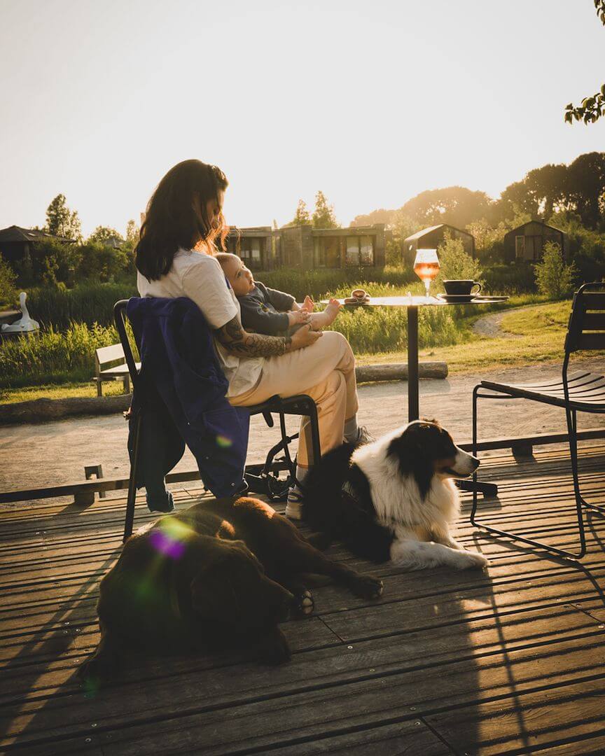 dogs laying outside the unbound cabins