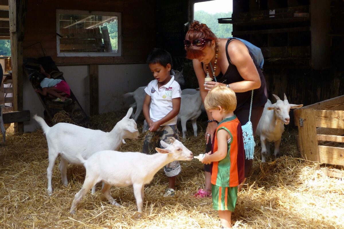 kids petting tiny goats